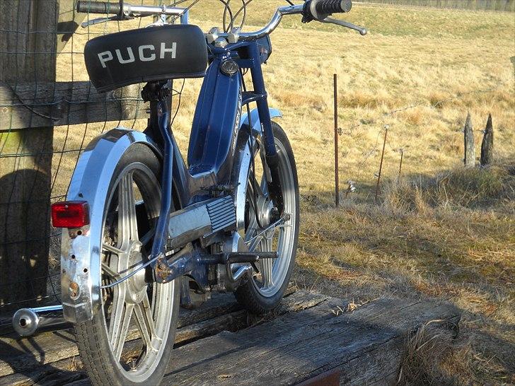 Puch maxi k e50 billede 13