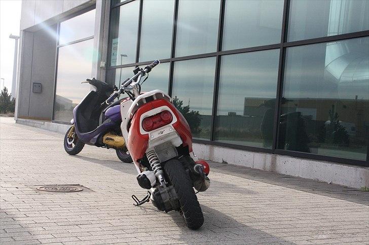 Honda sfx  billede 6