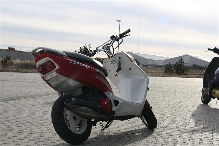 Honda sfx  billede 7