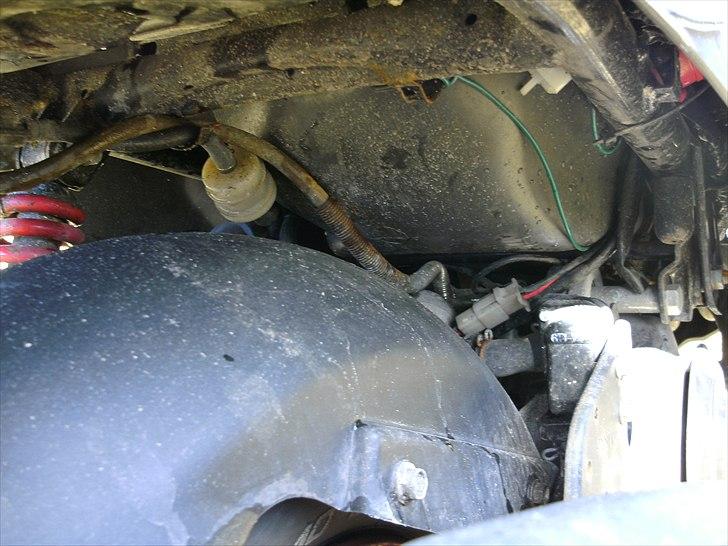 PGO Hot 50 billede 6