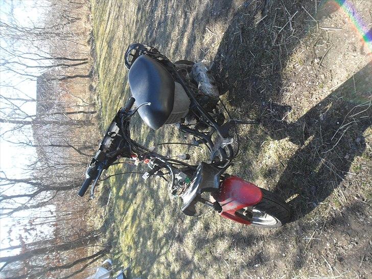 Kreidler Easy Rider tilsalg billede 1