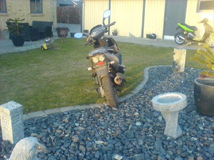 PGO Dr. Big billede 4