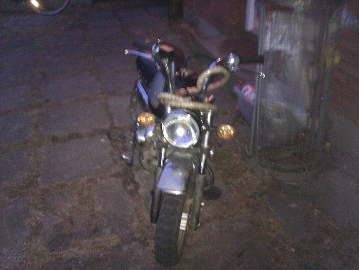 Skyteam gorilla billede 3