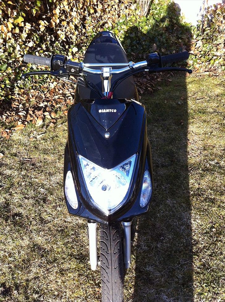 Giantco G-Buddy billede 5