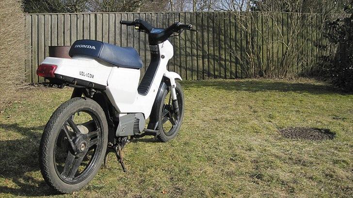 Honda Wallaroo |Solgt| billede 1