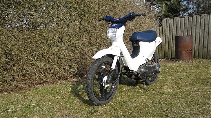 Honda Wallaroo |Solgt| billede 3