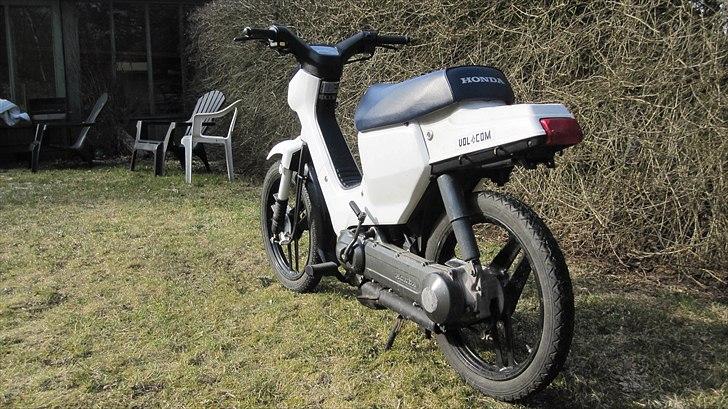 Honda Wallaroo |Solgt| billede 5