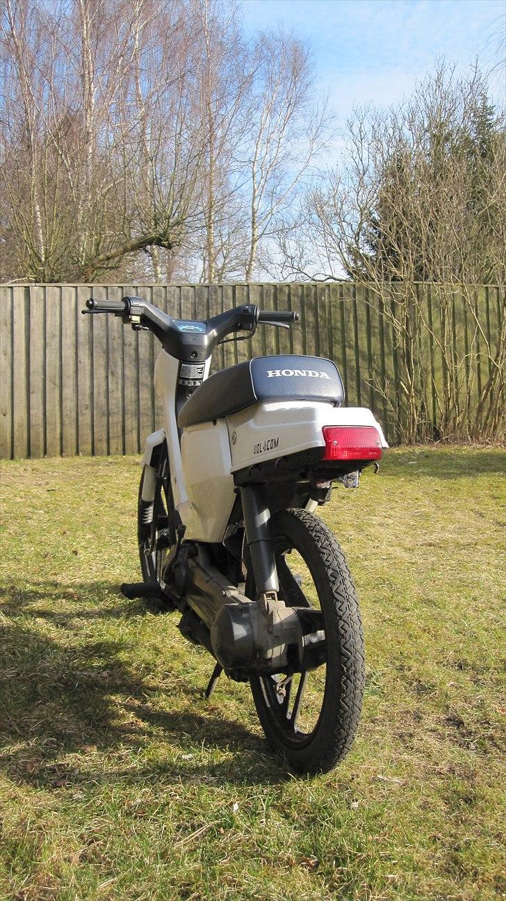 Honda Wallaroo |Solgt| billede 6