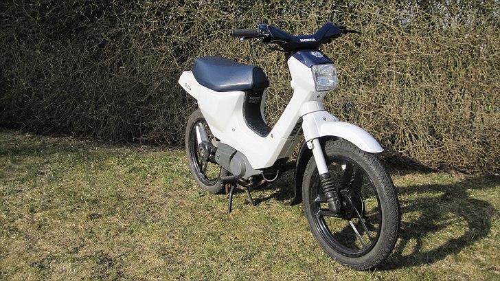 Honda Wallaroo |Solgt| billede 7