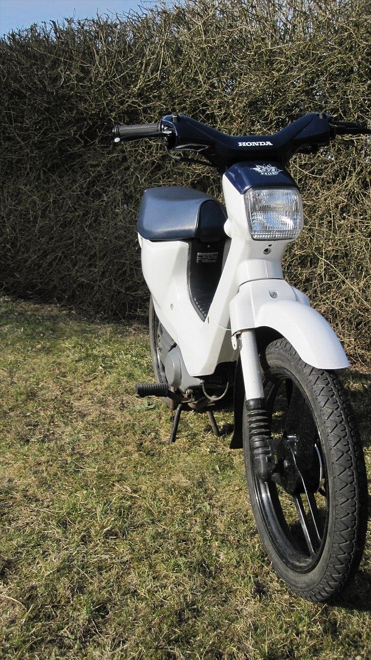 Honda Wallaroo |Solgt| billede 8