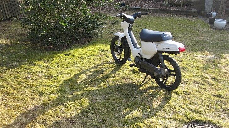 Honda Wallaroo |Solgt| billede 9