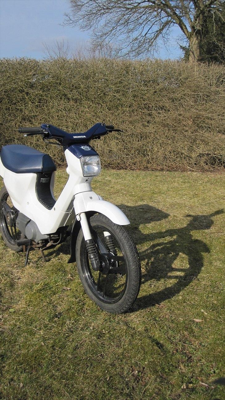 Honda Wallaroo |Solgt| billede 10