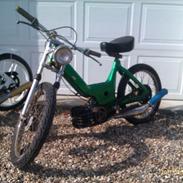 Puch Maxi (solgt)