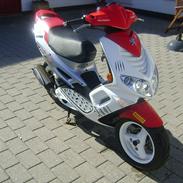 Peugeot Speedfight 2 R-Cup - Tilsalg