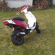 PGO Hot  "SOLGT"