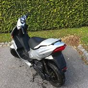 Peugeot Speedfight 2 SOLGT