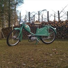 Veteraner Rex 2 Gear