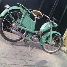 Veteraner Rex 2 Gear