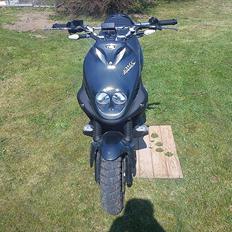 PGO PMX Naked Carbon