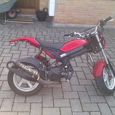 Suzuki Street magic SOLGT