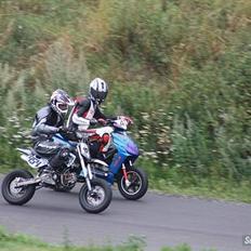 Pitpro 150ccn GPX x4 