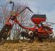 Puch Maxi Mini
