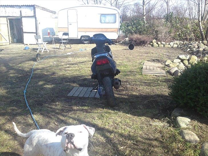 PGO Dr.Big FØR billede 13