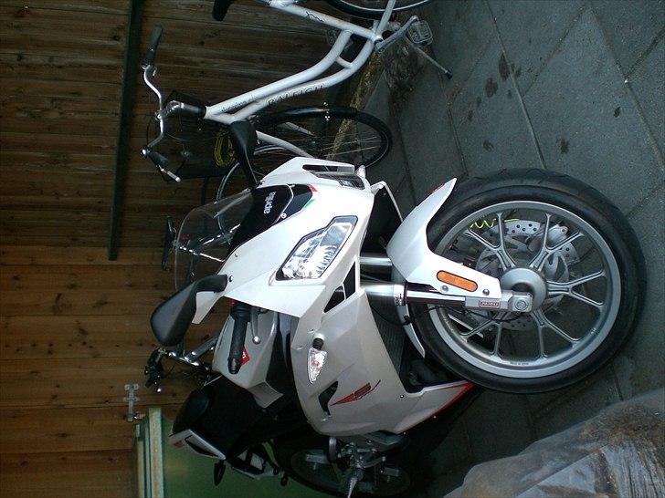 Aprilia RS50 billede 16