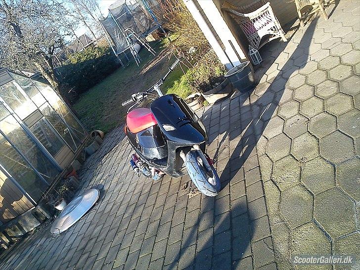 PGO comt solgt billede 2