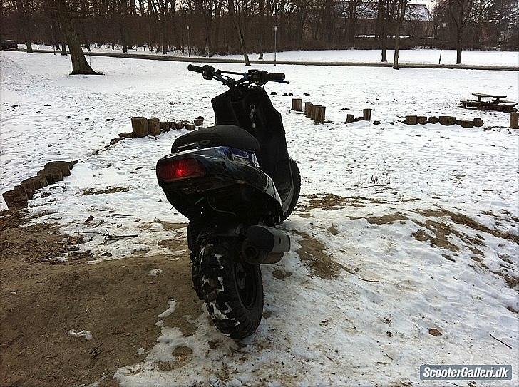 PGO Hot50 Solgt billede 4