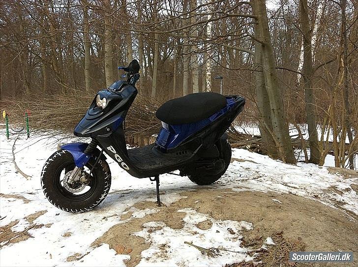 PGO Hot50 Solgt billede 6