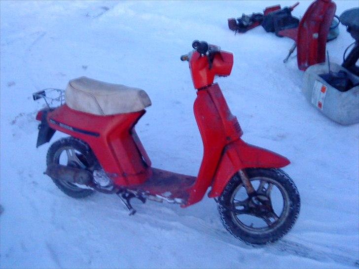 Honda melody mini billede 1