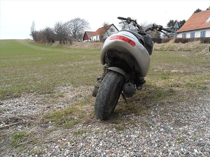 Benelli 491 ac billede 2