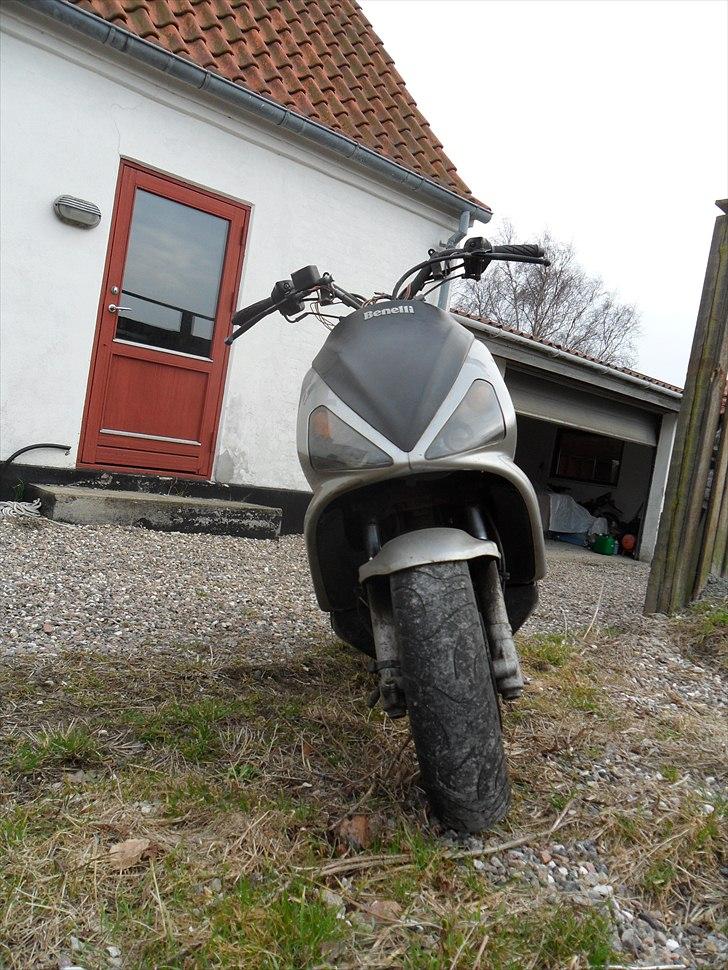 Benelli 491 ac billede 5