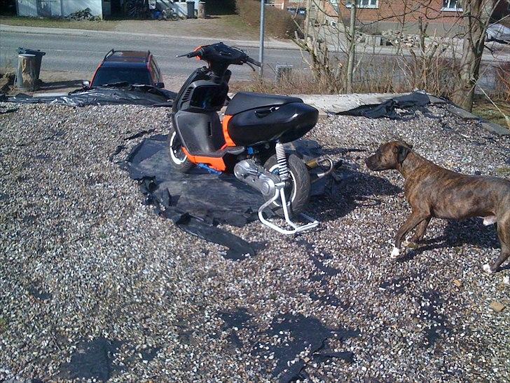 Aprilia sonic lc Evo 1 billede 11