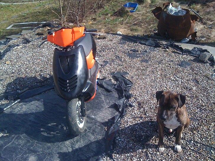 Aprilia sonic lc Evo 1 billede 12