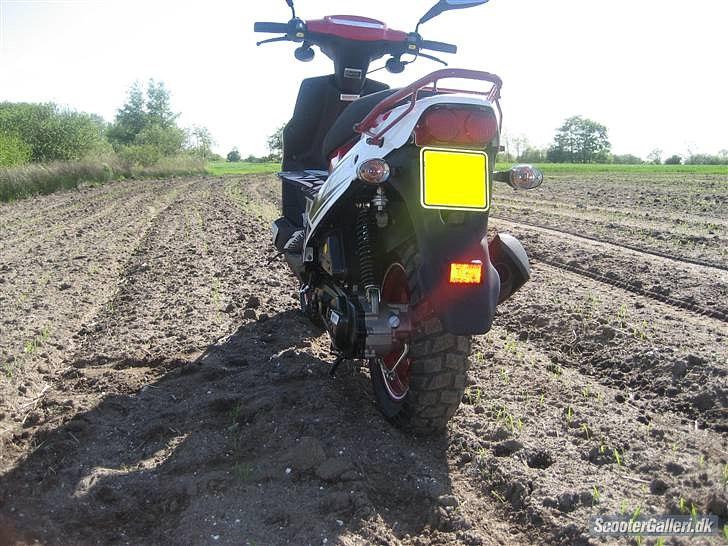 PGO hot 50 billede 4