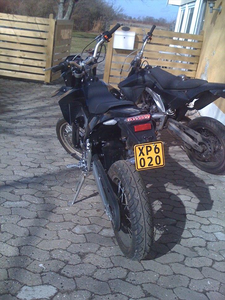 Apollo Orion    aragon 36./solgt billede 4