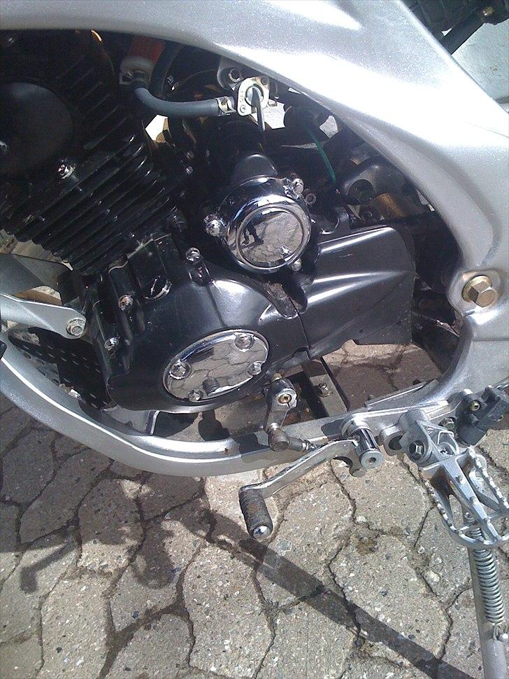 Apollo Orion    aragon 36./solgt billede 5