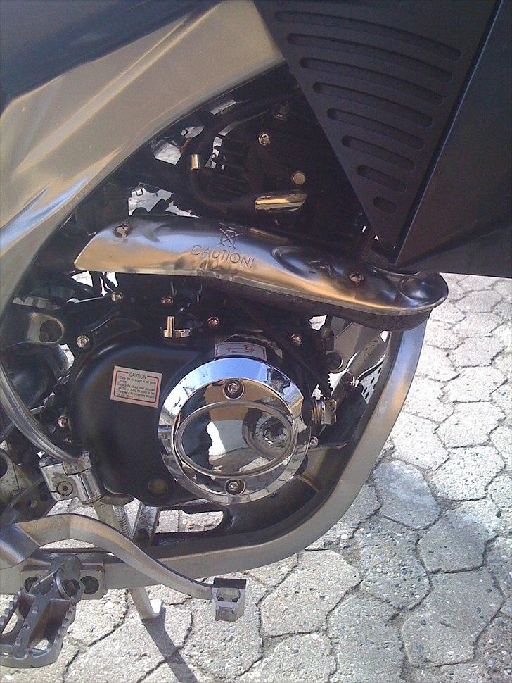 Apollo Orion    aragon 36./solgt billede 10