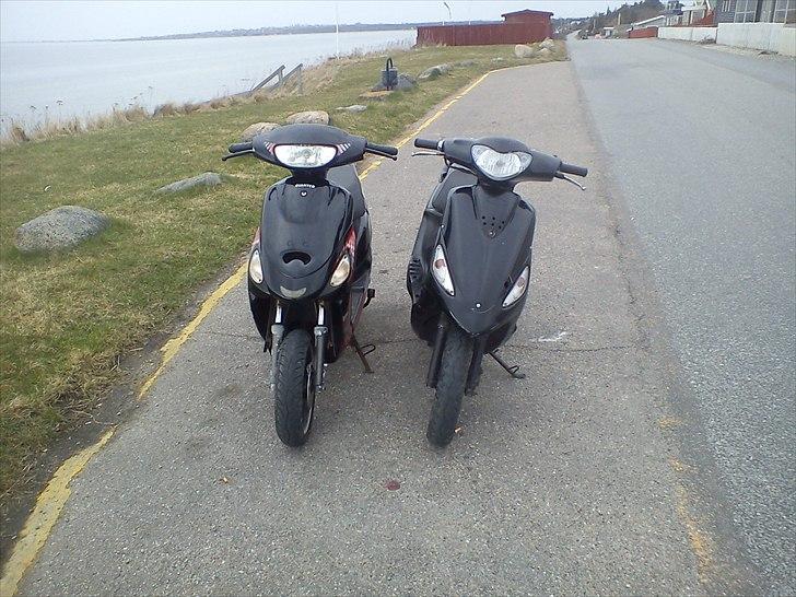 Giantco Sprint [SOLGT] billede 16