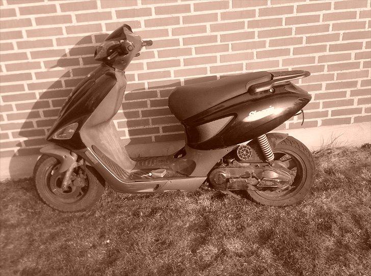 Atala skeggia *Solgt* billede 1