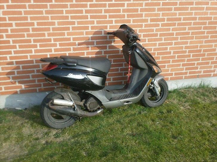 Atala skeggia *Solgt* billede 2