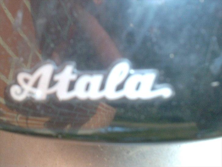 Atala skeggia *Solgt* billede 4