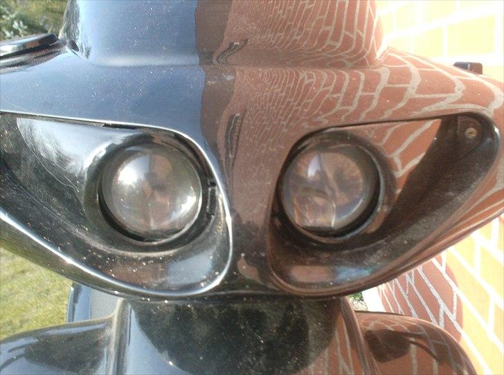 Atala skeggia *Solgt* billede 5