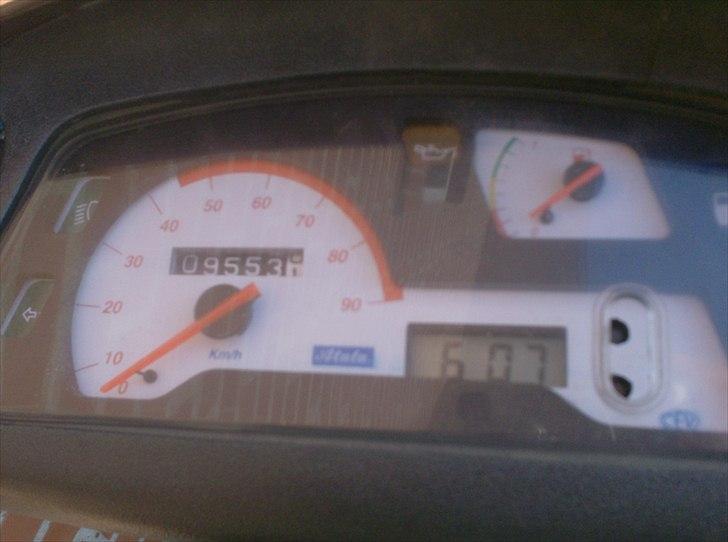 Atala skeggia *Solgt* billede 7