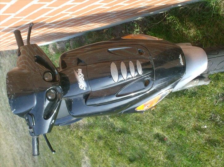 Atala skeggia *Solgt* billede 8