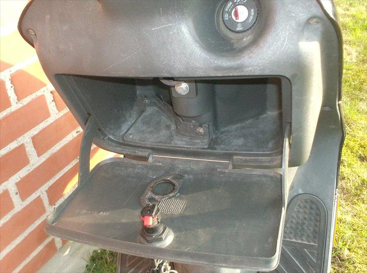 Atala skeggia *Solgt* billede 9