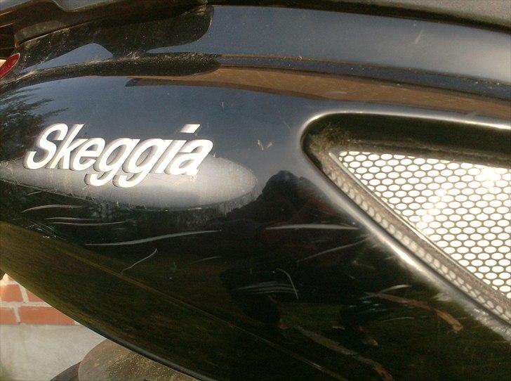 Atala skeggia *Solgt* billede 10