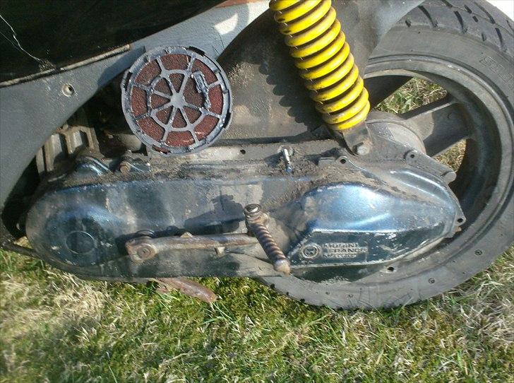 Atala skeggia *Solgt* billede 11